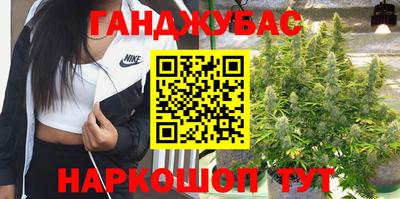 дмт Будённовск