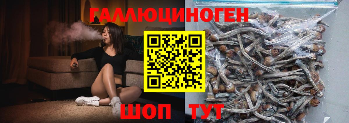 Псилоцибиновые грибы Psilocybe Наро-Фоминск